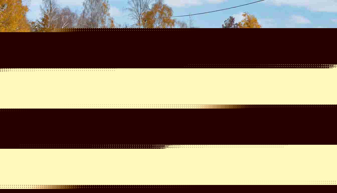 Секреты выгодной аренды погрузчика: как цена проката зависит от скрытых факторов